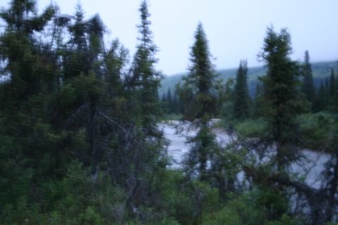 1990 Chevrolet Suburban - A blurry, overcast scene shows a river flowing through a dense forest of evergreen trees. The water appears murky and reflects the overcast…