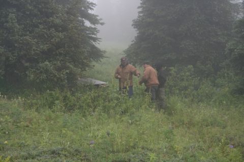 1990 Chevrolet Suburban - Three people stand in a misty, wooded area with tall grass and trees. One person is wearing a brown jacket and a baseball cap, another is w…