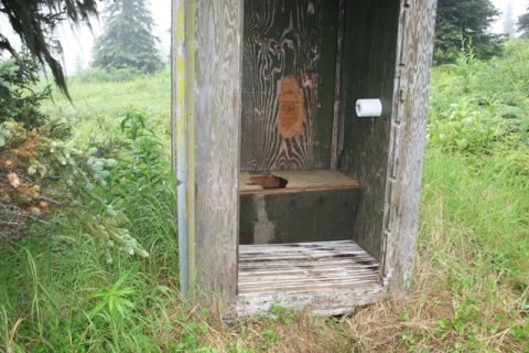 1990 Chevrolet Suburban - An open wooden outhouse with a roll of toilet paper mounted on the interior wall sits in a grassy, overgrown area with trees in the backgro…