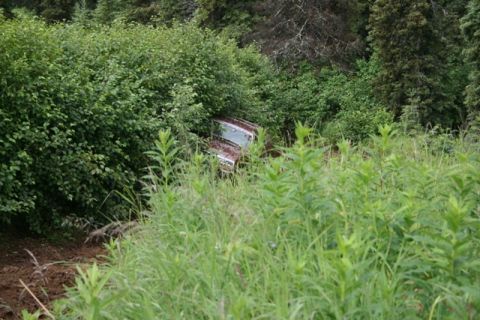 1990 Chevrolet Suburban - A maroon and silver vehicle is partially submerged in dense foliage and tall grass, with its roof and windshield visible. The vehicle appea…