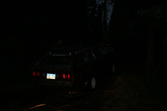 Rear view of a dark station wagon at night with license plate DSB 214.