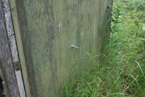 1990 Chevrolet Suburban - A close-up of a weathered, green wooden door with a silver bolt protruding from it. Tall green grass and foliage surround the door.