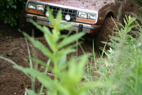 1990 Chevrolet Suburban - The front right corner of a red SUV is stuck in mud, with its tire partially submerged and mud splattered on the fender and grille. Tall gr…
