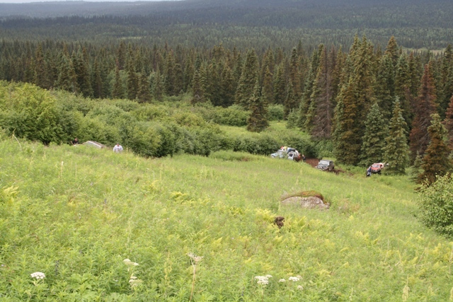 Off-road vehicles parked on a grassy slope in a forest.