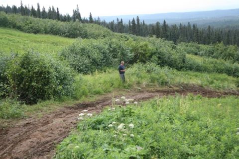 1990 Chevrolet Suburban - A man stands in a grassy, wooded area with a dirt track running through it. The background shows a dense forest and rolling hills under a h…