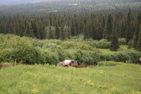 1990 Chevrolet Suburban - A rusty, older model SUV, possibly a Jeep, is navigating through tall green grass and brush. The vehicle is partially obscured by the folia…