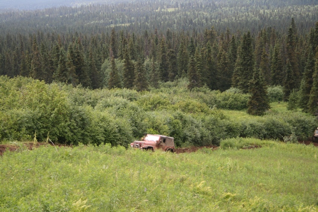 Rusty SUV driving through tall grass and brush in a wooded area.