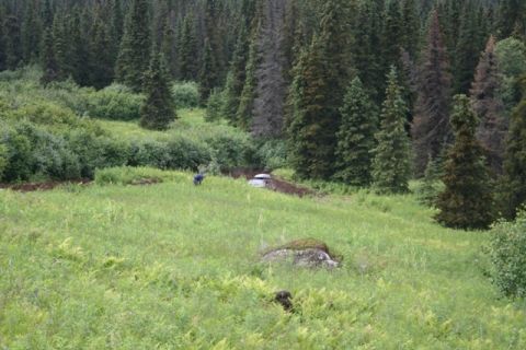 1990 Chevrolet Suburban - A silver SUV is partially submerged in a muddy ditch next to a dense forest. A person in a blue shirt is standing nearby, appearing to be w…