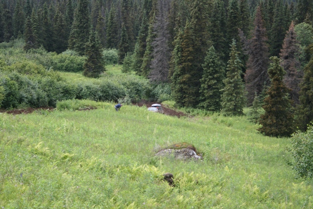 Silver SUV stuck in a muddy ditch in a forest clearing.