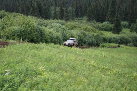1990 Chevrolet Suburban - A tan SUV with a roof rack drives off-road through a grassy field towards a dense forest. A person is visible standing near the edge of the…