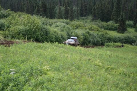 1990 Chevrolet Suburban - A tan 1990 Chevrolet Suburban is driving on a dirt path through a grassy field with dense trees in the background. The SUV has a roof-top c…