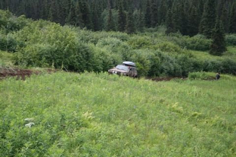 1990 Chevrolet Suburban - A tan SUV with a roof-top carrier is partially stuck in tall green grass on a dirt track, with a dense forest in the background. A person i…