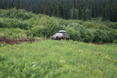 1990 Chevrolet Suburban - A brown SUV with a roof-top cargo carrier is parked on a muddy track surrounded by lush green foliage and a dense forest in the background.