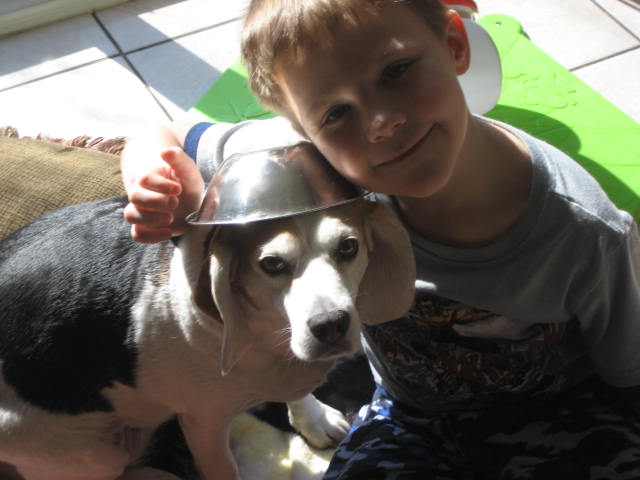 Boy with a dog wearing a metal bowl as a hat.