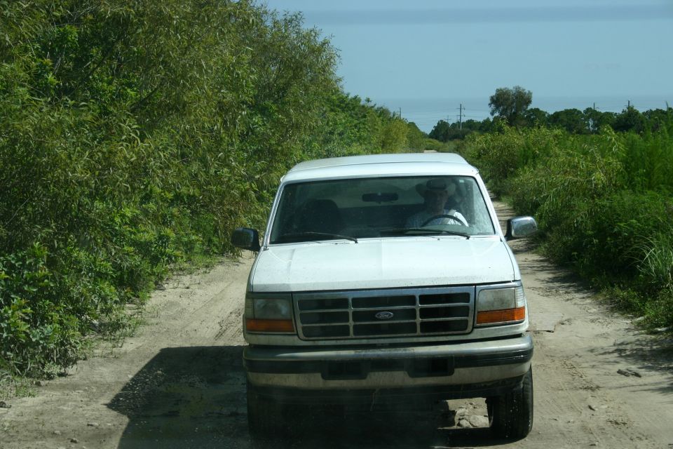 White 1996 Ford F-150 driving on a dirt road with trees on either side.