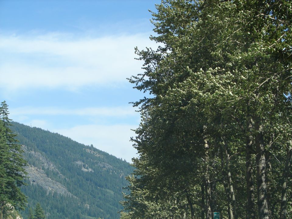 Tree-covered mountain range under a partly cloudy blue sky.