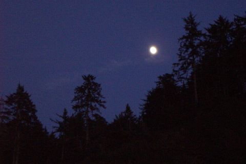 1996 Ford Bronco - Moon Rise (5/16/2008)