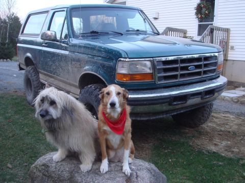 1996 Ford Bronco