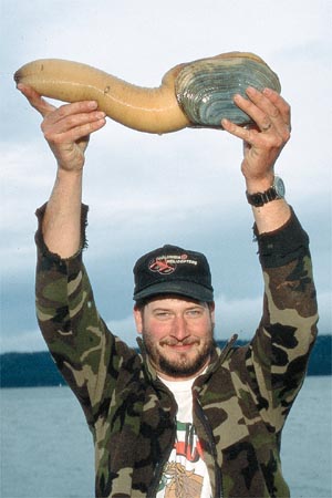 1967 Ford Bronco - A man proudly displays a large geoduck clam he has caught, with the Supermotors logo visible on his shirt.
