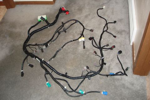 2007 Ford Mustang - A complex automotive wiring harness is spread out on a gray carpet, showing numerous electrical connectors.