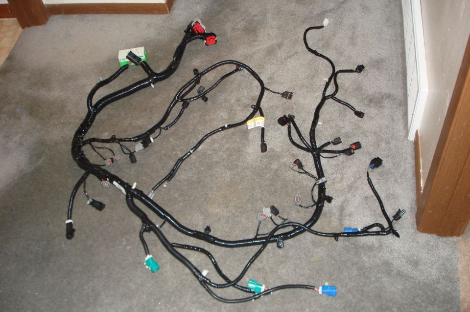 Automotive wiring harness with multiple connectors, laid out on a carpeted floor
