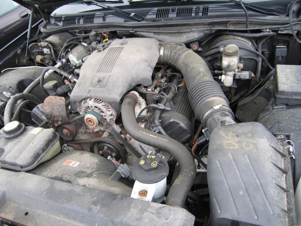 Engine bay of a 2001 Ford Crown Victoria, showing the V8 engine, air intake, alternator, and various hoses and fluids. The engine is dusty