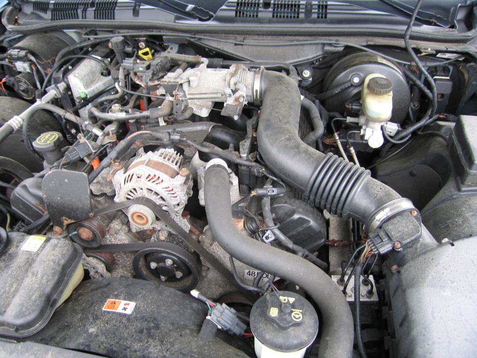 Engine bay with hoses, belts, and alternator visible