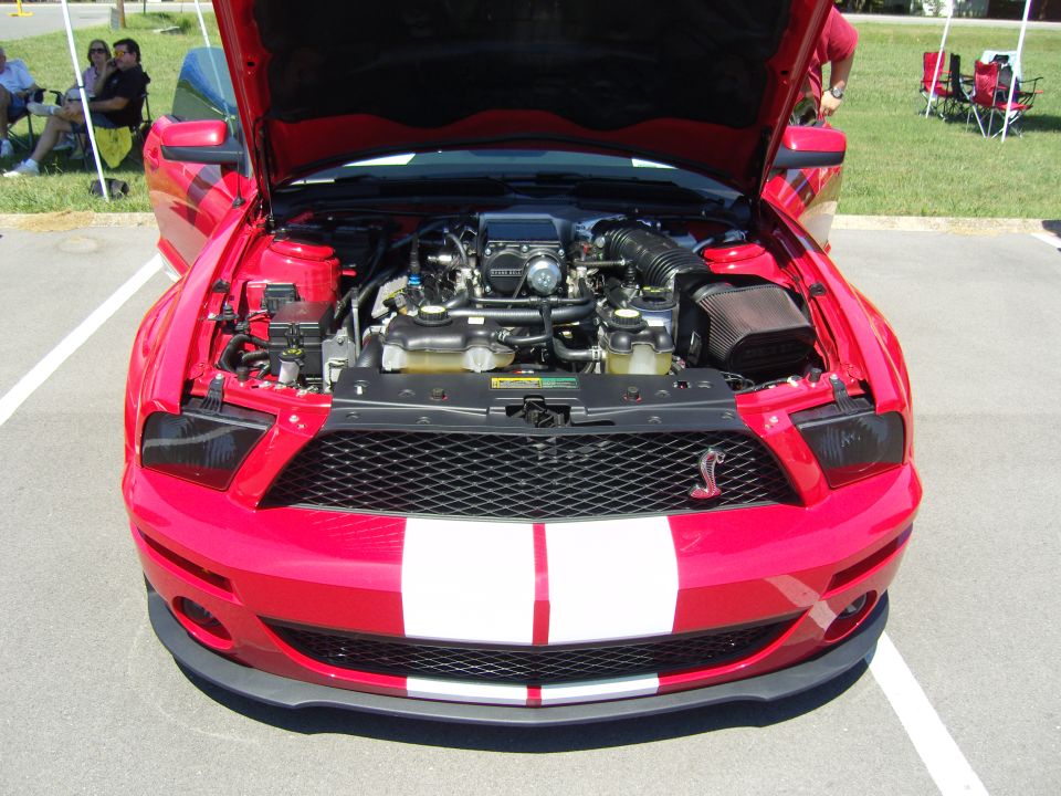 Red Shelby GT500 Mustang engine bay with white racing stripes, hood open