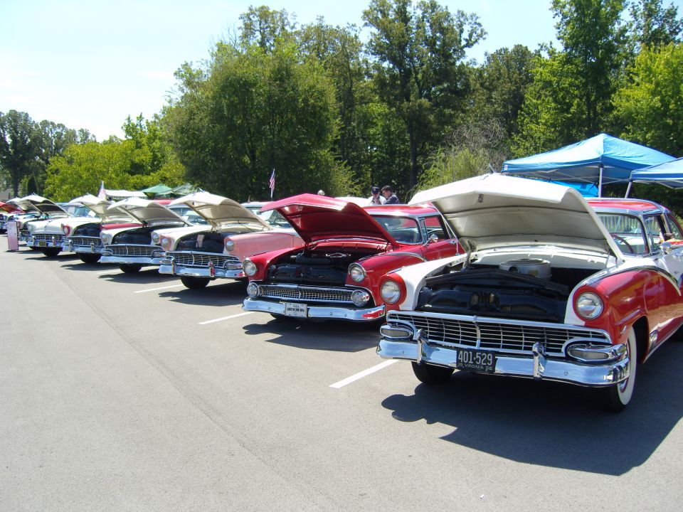 Row of 1950s Ford classic cars with hoods open in a show parking lot
