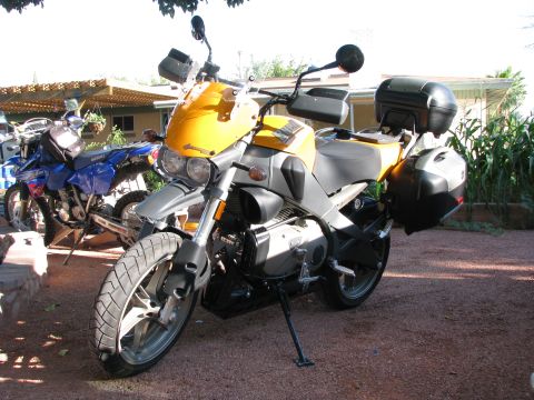 2006 Buell XB12R photo