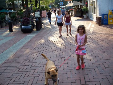 1971 Ford Ranchero - A young girl and her dog enjoy a walk on a sunny day along a brick-paved walkway lined with shops and trees.