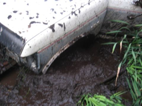 1990 Ford F-250 - A white and grey truck fender with a red stripe is partially submerged in mud and grass.