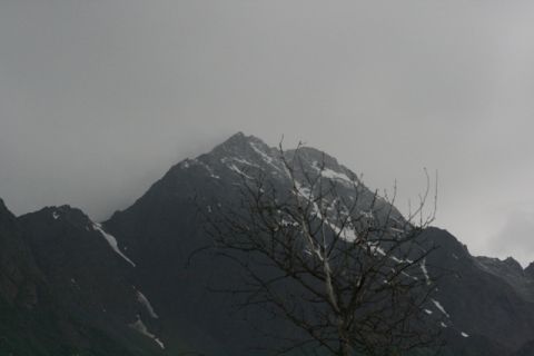 1990 Chevrolet Suburban - A stark mountain landscape is viewed under a cloudy sky, with a leafless tree in the foreground.