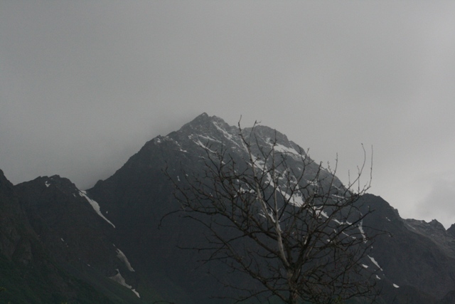 Mountain peak with snow, bare tree branches in foreground, overcast sky