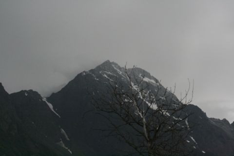1990 Chevrolet Suburban - A dramatic mountain landscape with a stark, bare tree silhouetted against a cloudy sky and overcast sky.