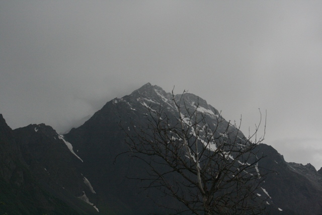 Mountain peak with snow patches and a bare tree in the foreground under a cloudy sky