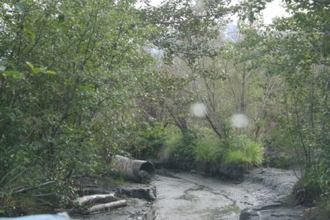 1990 Chevrolet Suburban - A muddy path winds through dense foliage, with a large culvert pipe visible on the left bank.