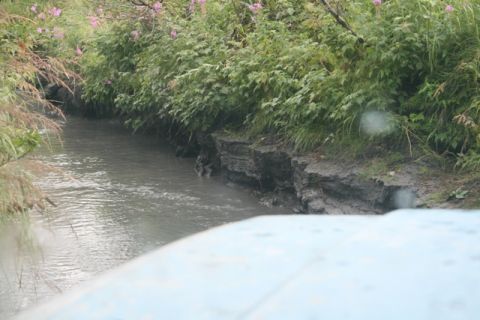 1990 Chevrolet Suburban - A view from a vehicle shows a stream flowing past a muddy bank covered in green plants and some pink flowers.