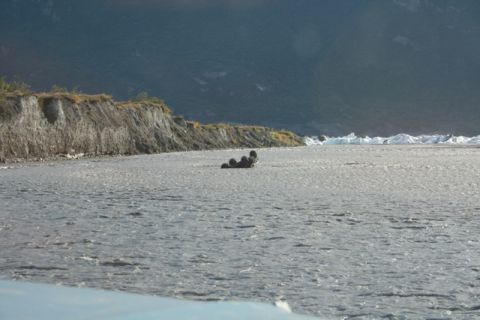 1990 Chevrolet Suburban - Logs are seen in a river, with a rocky bank and icebergs in the background.