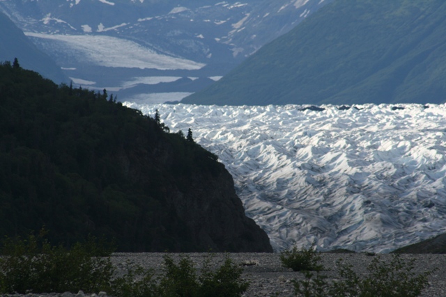 Glacier in a valley with forested mountains and rocky foreground.