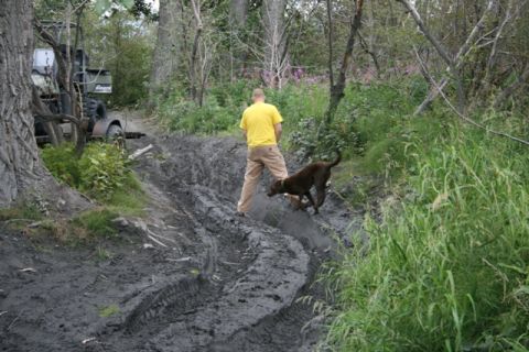 1990 Chevrolet Suburban - A man in a yellow shirt stands in a muddy rut next to a dark brown dog. An off-road vehicle is visible in the background on the left.