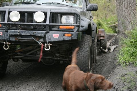 1990 Chevrolet Suburban - A dark colored Jeep Cherokee is shown from the front in a muddy off-road setting. A brown dog is in the foreground, partially obscuring the…