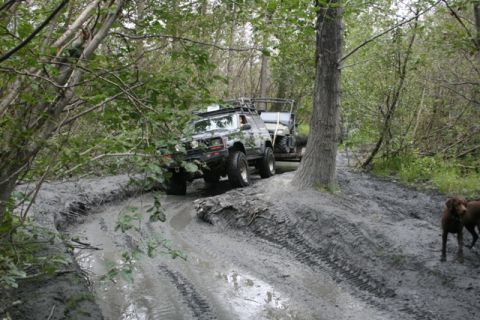 1990 Chevrolet Suburban - A dark-colored SUV with off-road modifications is navigating a muddy trail in a wooded area, pulling a trailer. Two brown dogs are visible…