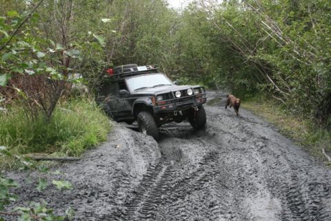 1990 Chevrolet Suburban - A black Jeep Cherokee is navigating a very muddy, rutted trail surrounded by dense green foliage. A brown dog runs along the side of the tr…