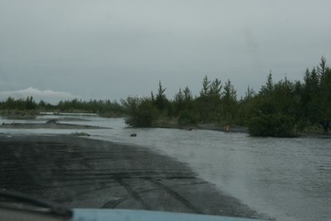 1990 Chevrolet Suburban - A wide, shallow river flows through a landscape with trees and a cloudy sky. A small brown dog is visible in the water.
