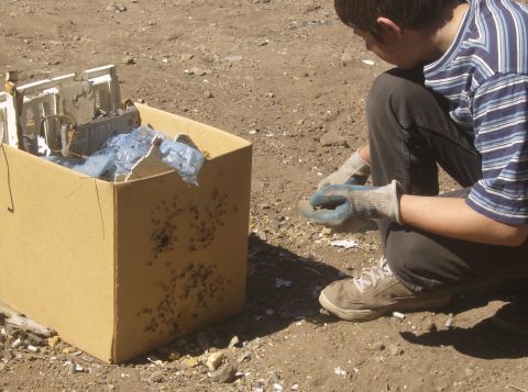 1986 Ford Bronco - A person wearing gloves is sorting through debris in a cardboard box. The debris appears to be electronic waste.