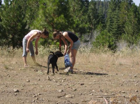 1986 Ford Bronco - Two young women and a black dog are in a dry, grassy area with pine trees in the background.