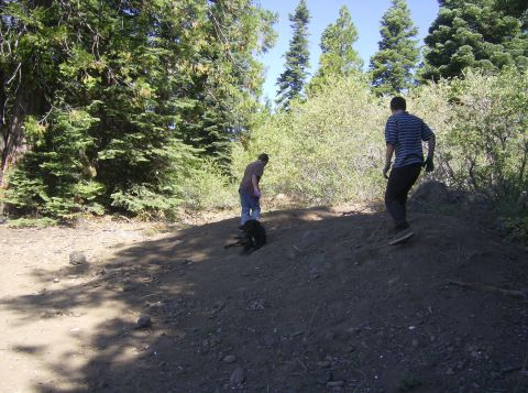 1986 Ford Bronco - Two people and a black dog are in a wooded area with a dirt path.