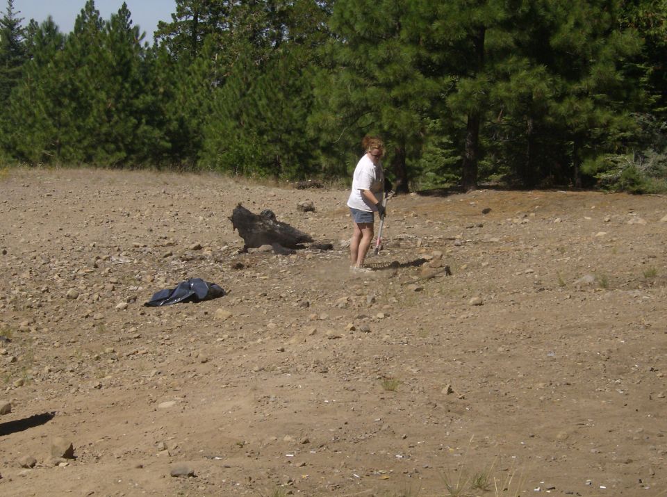 Woman raking ground near pine trees, with a jacket on the ground.