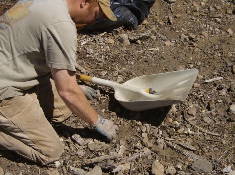 1986 Ford Bronco - A person wearing work clothes and gloves kneels on the ground next to a shovel, appearing to sift through dirt and small rocks.
